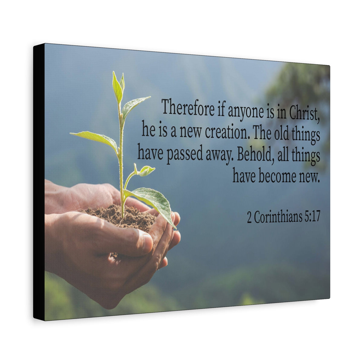 Scripture Canvas Anyone is a New Creation 2 Corinthians 5:17 Christian Wall Art Bible Verse Print Ready to Hang