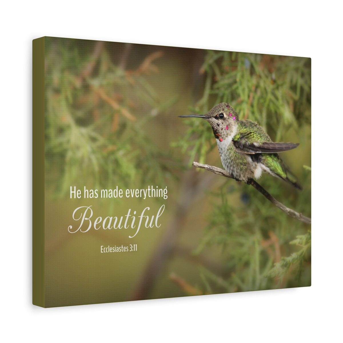 Scripture Canvas Everything Beautiful Ecclesiastes 3:11 Christian Wall Art Bible Verse Print Ready to Hang