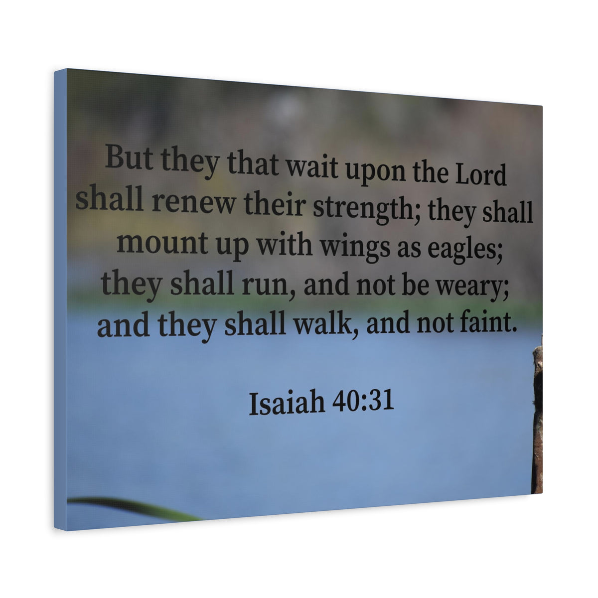 Scripture Walls Renew Their Strength Isaiah 40:31 Christian Wall Art Bible Verse Print Ready to Hang