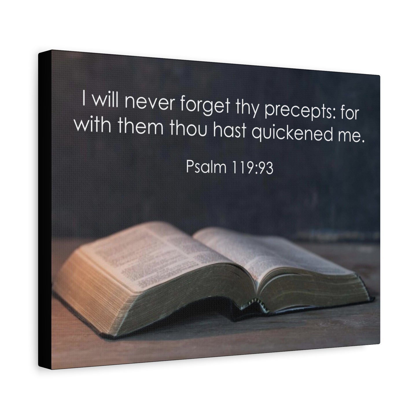 Bible Verse Canvas Never Forget Thy Precepts Psalm 119:93 Christian Home Décor Wall Art Scripture Ready to Hang Faith Print