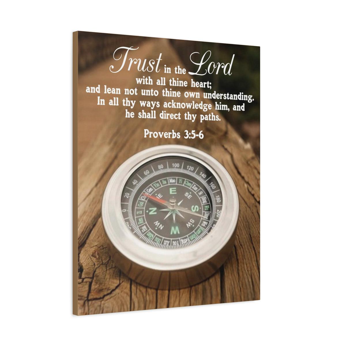 Scripture Canvas Direct Thy Paths Proverbs 3:5-6 Christian Wall Art Bible Verse Print Ready to Hang