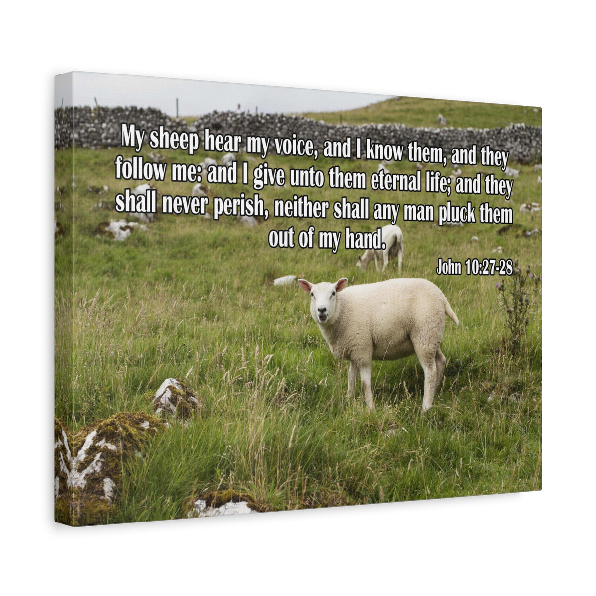 Scripture Canvas Hear My Voice John 10:27-28 Christian Wall Art Bible Verse Print Ready to Hang