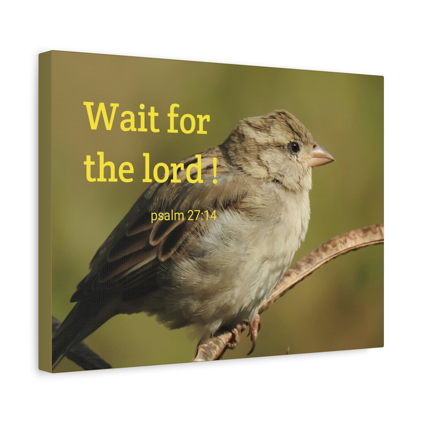 Scripture Walls Wait For The Lord Psalm 27:14 Bible Verse Canvas Christian Wall Art Ready to Hang