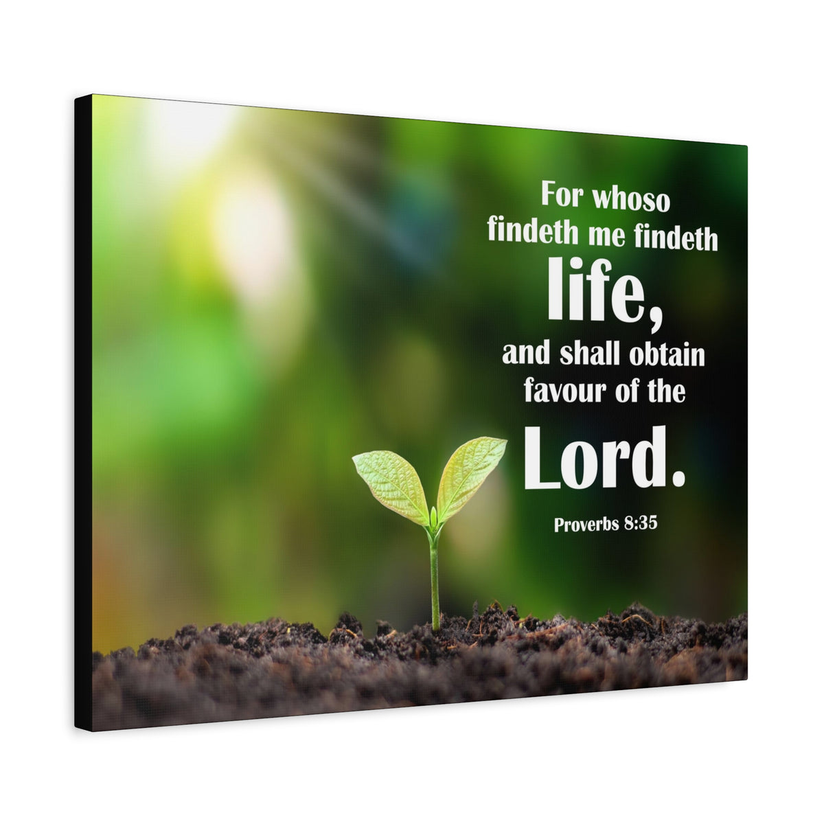 Scripture Canvas Favour of The Lord Proverbs 8:35 Christian Wall Art Bible Verse Print Ready to Hang