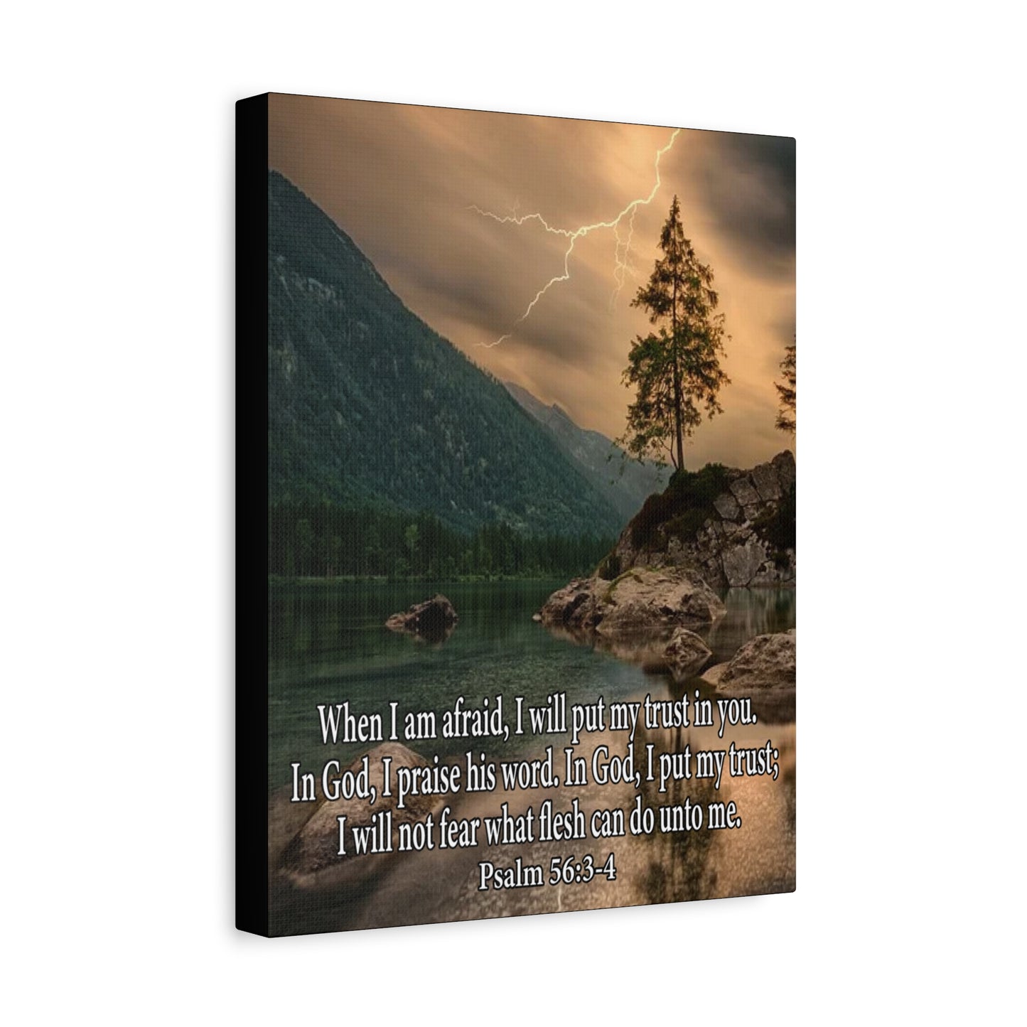Scripture Canvas I Put My Trust in You Psalm 56:3-4 Christian Wall Art Bible Verse Print Ready to Hang