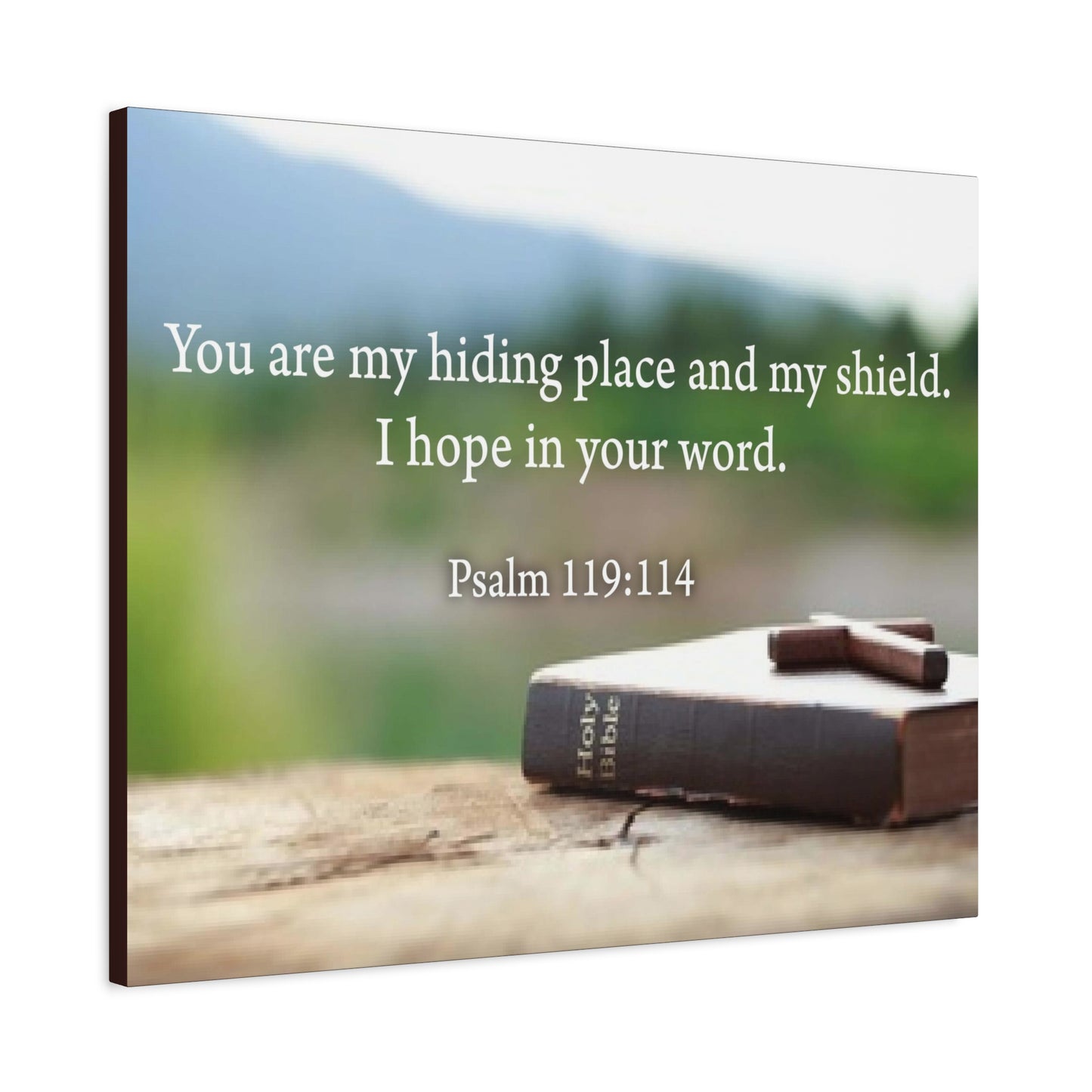 Scripture Walls Hiding Place Psalm 119:114 Bible Verse Canvas Christian Wall Art Ready to Hang