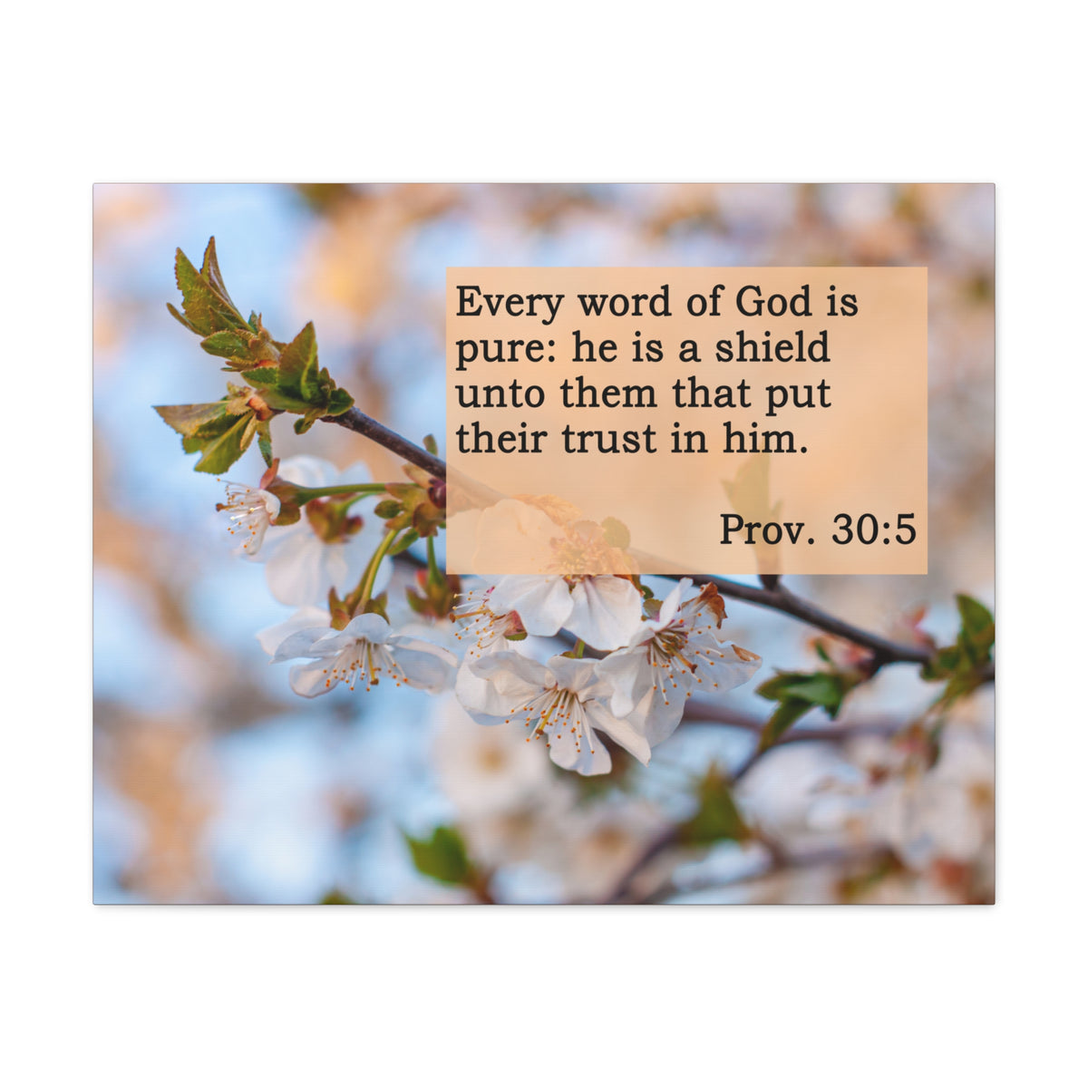 Scripture Canvas He Is A Shield Proverbs 30:5 Christian Wall Art Bible Verse Print Ready to Hang