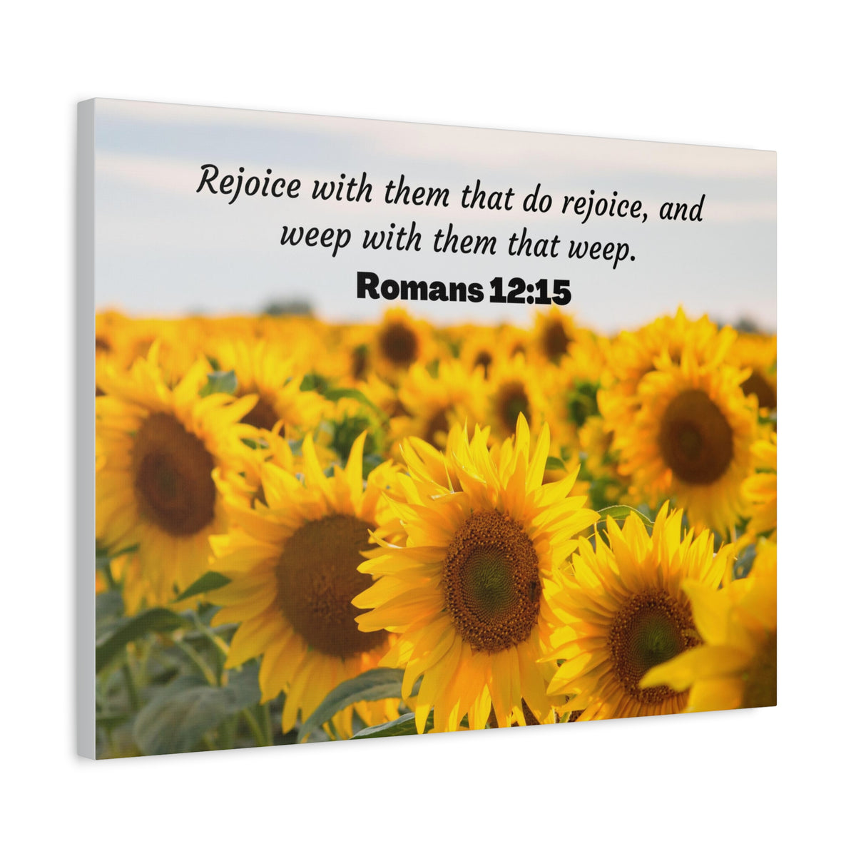 Scripture Canvas Rejoice With Them Romans 12:15 Sunflower Christian Wall Art Bible Verse Print Ready to Hang