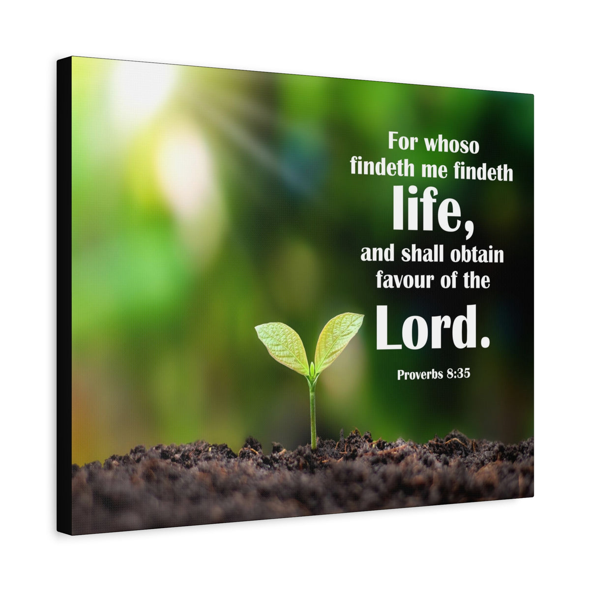 Scripture Canvas Favour of The Lord Proverbs 8:35 Christian Wall Art Bible Verse Print Ready to Hang
