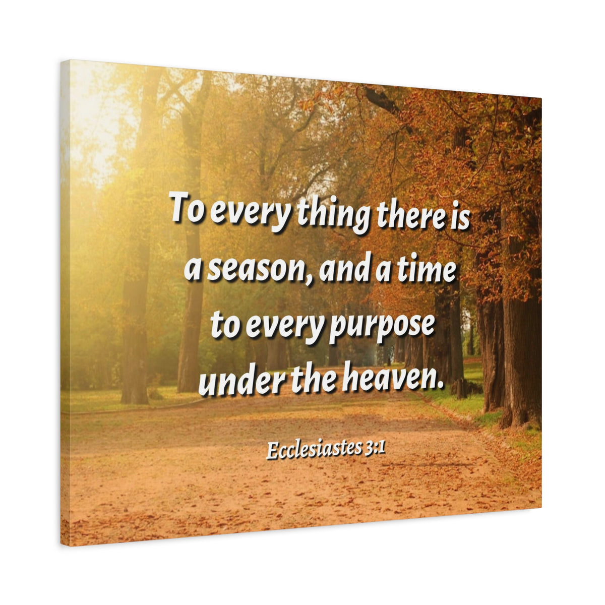 Scripture Canvas Purpose Ecclesiastes 3:1 Christian Wall Art Bible Verse Print Ready to Hang