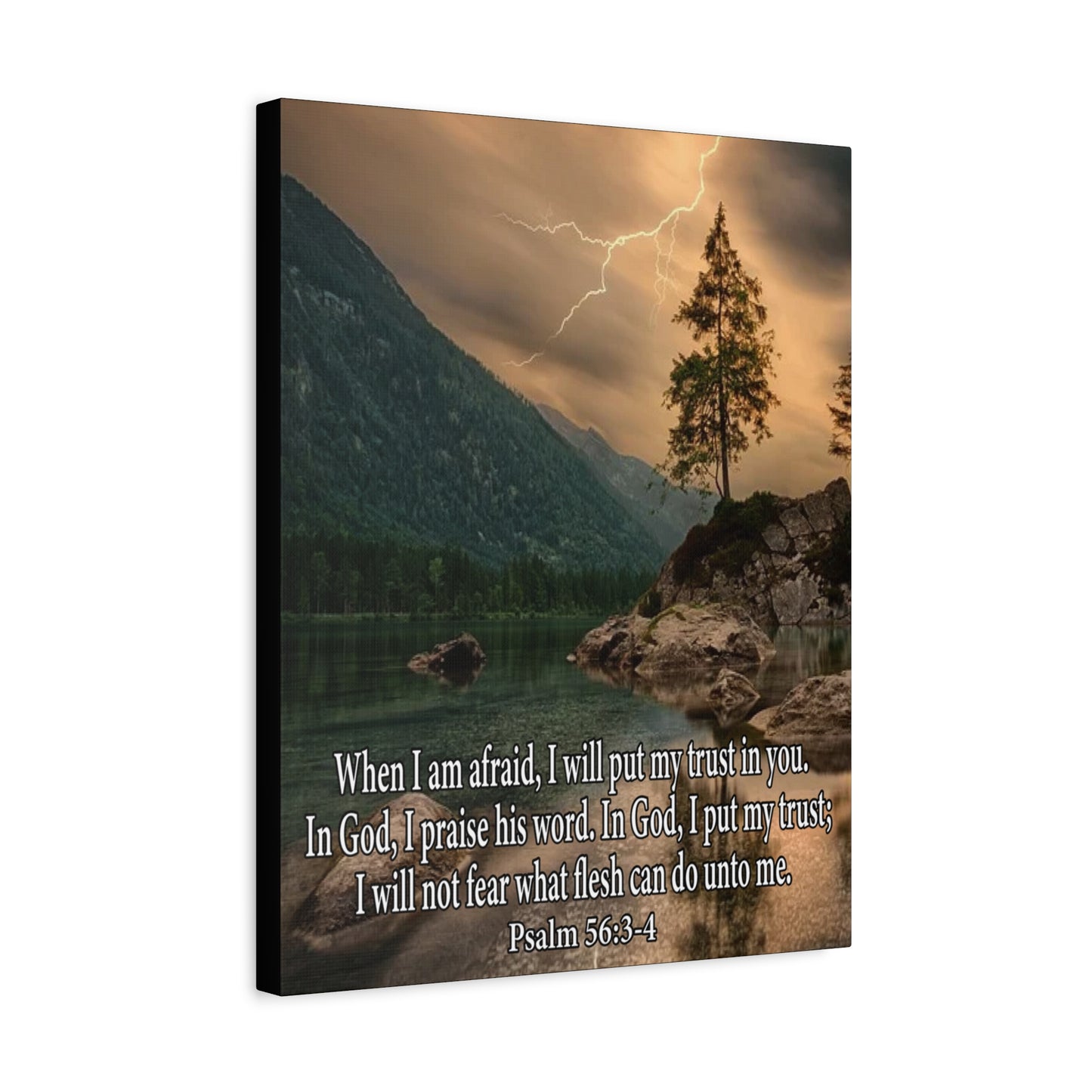 Scripture Canvas I Put My Trust in You Psalm 56:3-4 Christian Wall Art Bible Verse Print Ready to Hang