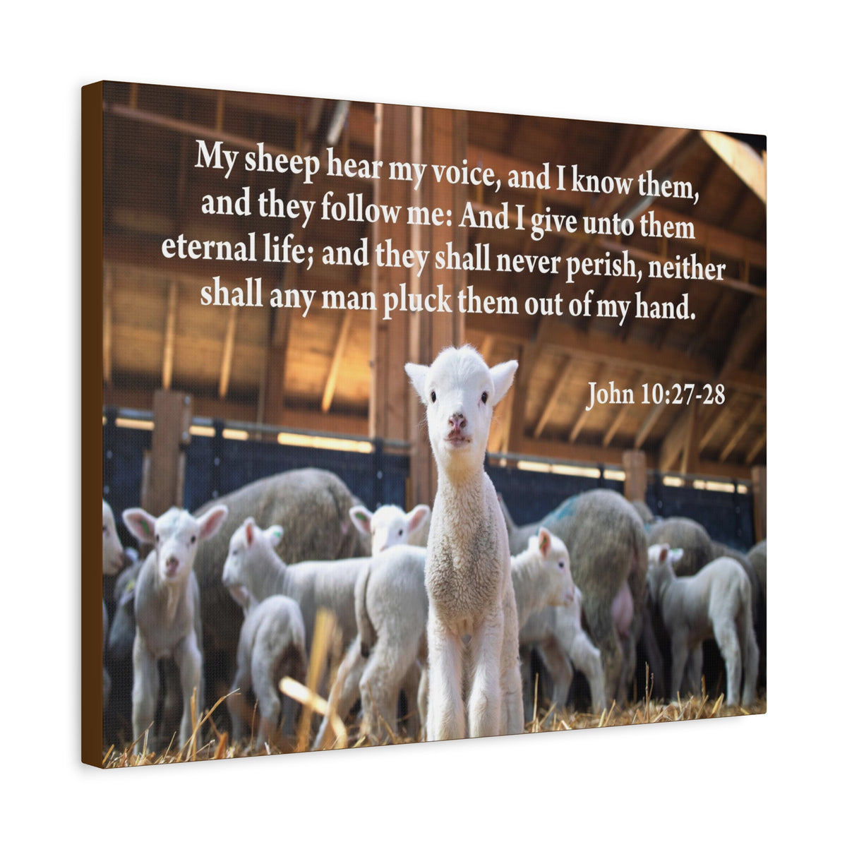 Scripture Canvas My Sheep Hear My Voice John 10:27-28 Christian Wall Art Bible Verse Print Ready to Hang