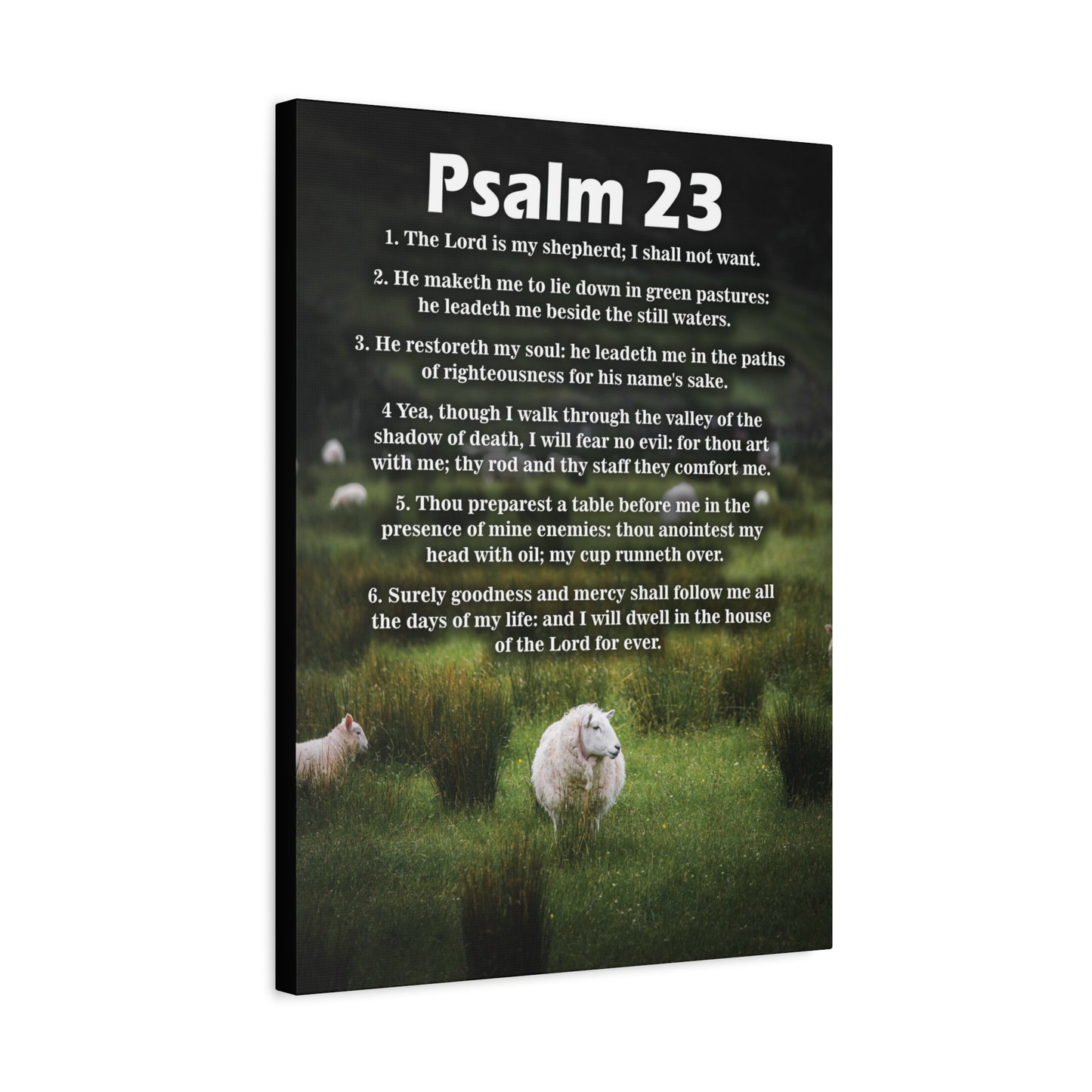 Scripture Walls The Lord is My Shepherd Psalm 23:3 Christian Wall Art Bible Verse Print Ready to Hang