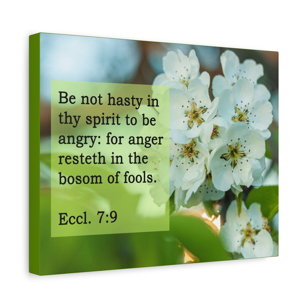 Scripture Canvas Be Not Hasty Ecclesiastes 7:9 Christian Wall Art Bible Verse Print Ready to Hang