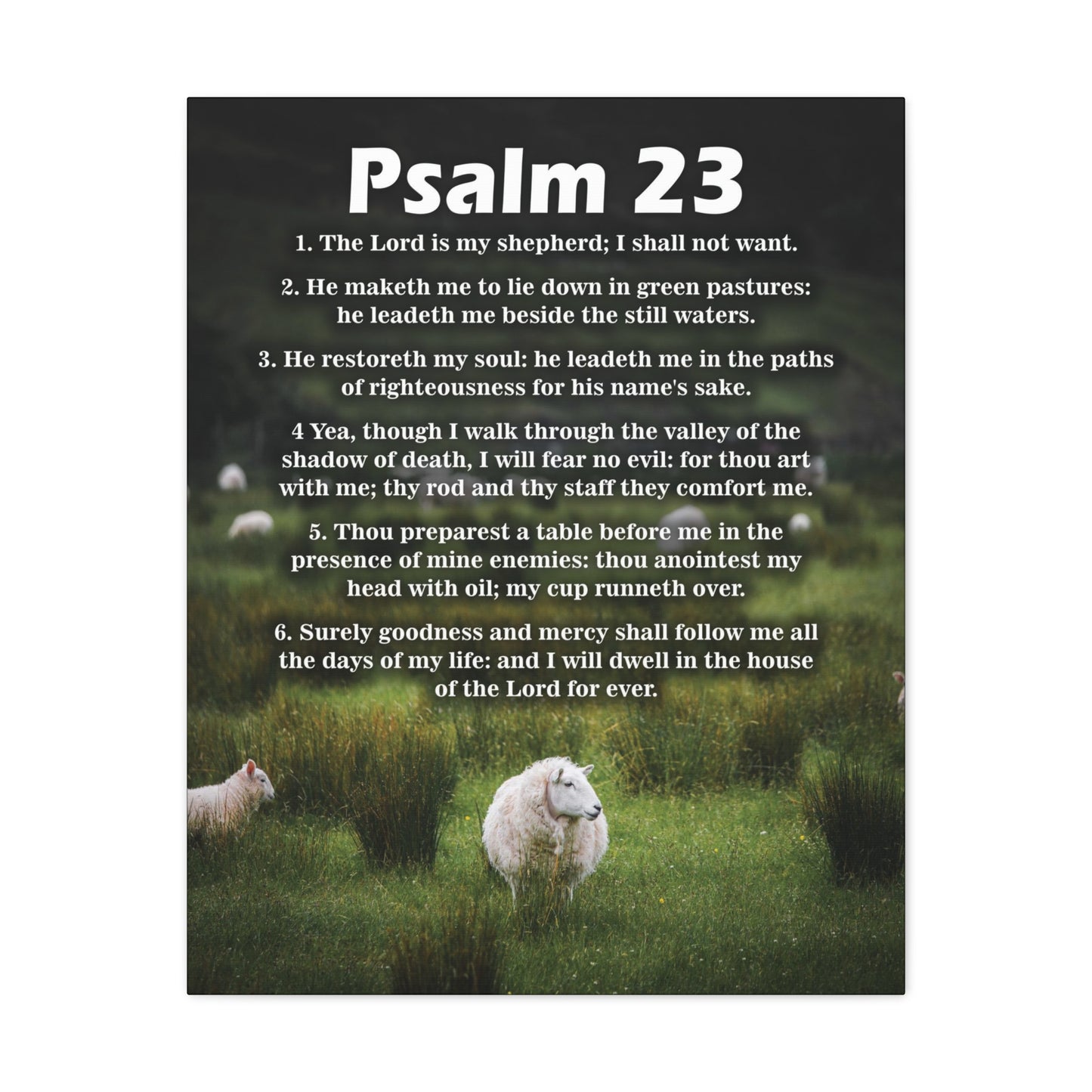 The Lord is My Shepherd Psalm 23:3 Christian Wall Art Bible Verse Print Ready to Hang