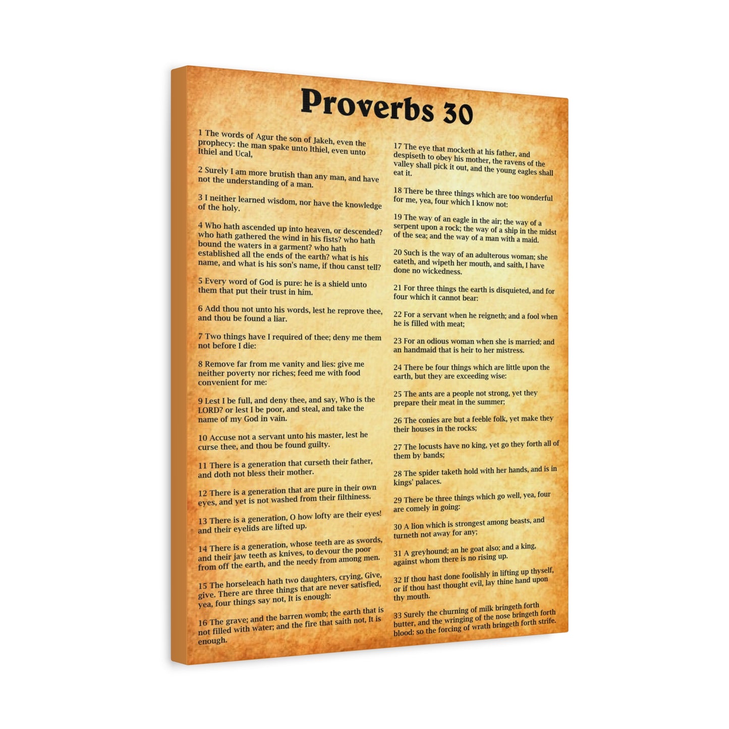 Scripture Walls Proverbs Chapter 30 Gold Bible Canvas Christian Wall Art Ready to Hang Unframed