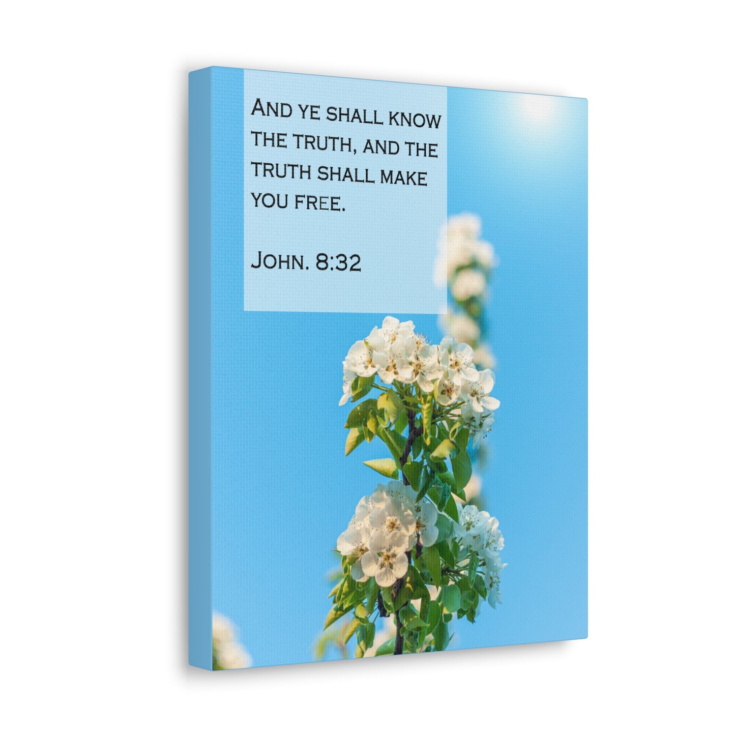 The Truth Shall Make You Free John 8:32 Bible Verse Canvas Christian Wall Art Bible Verse Print Ready To Hang