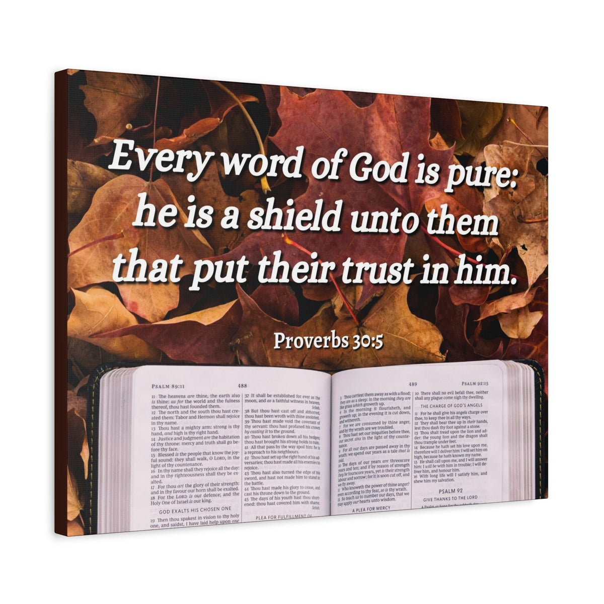 Scripture Canvas A Shield Proverbs 30:5 Christian Wall Art Bible Verse Print Ready to Hang