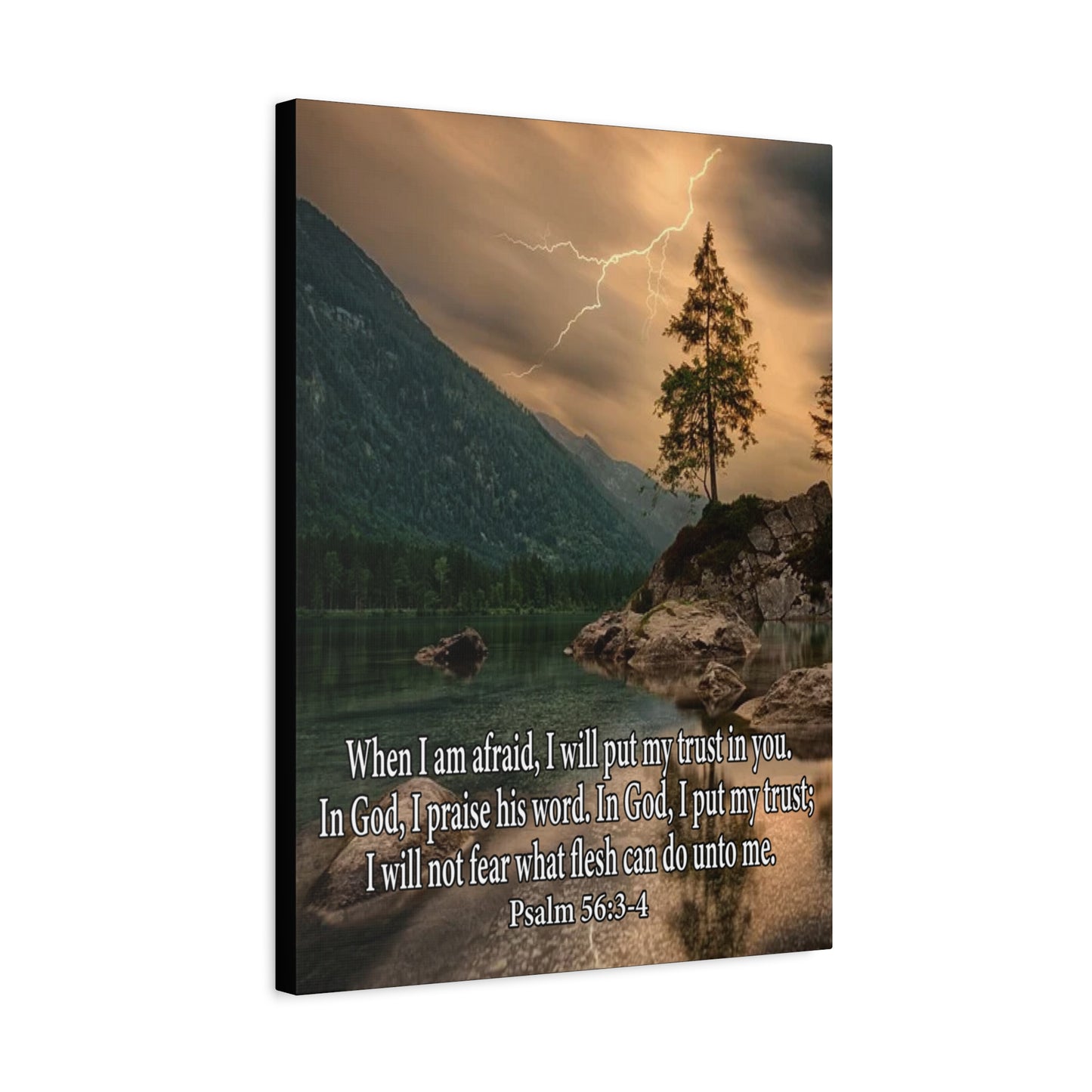 Scripture Canvas I Put My Trust in You Psalm 56:3-4 Christian Wall Art Bible Verse Print Ready to Hang