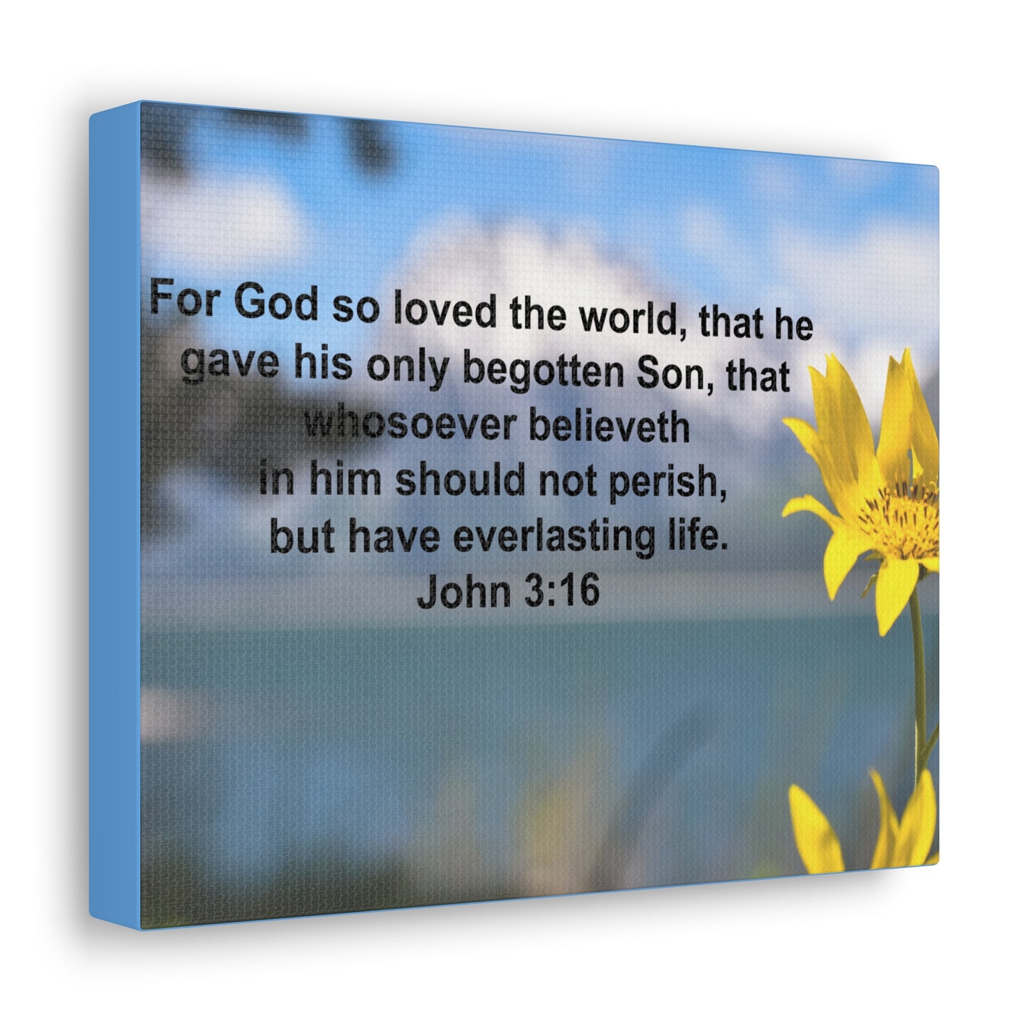 Have Everlasting Life John 3:16 Bible Verse Canvas Christian Wall Art Ready to Hang