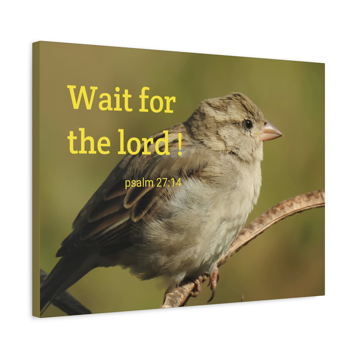 Scripture Walls Wait For The Lord Psalm 27:14 Bible Verse Canvas Christian Wall Art Ready to Hang