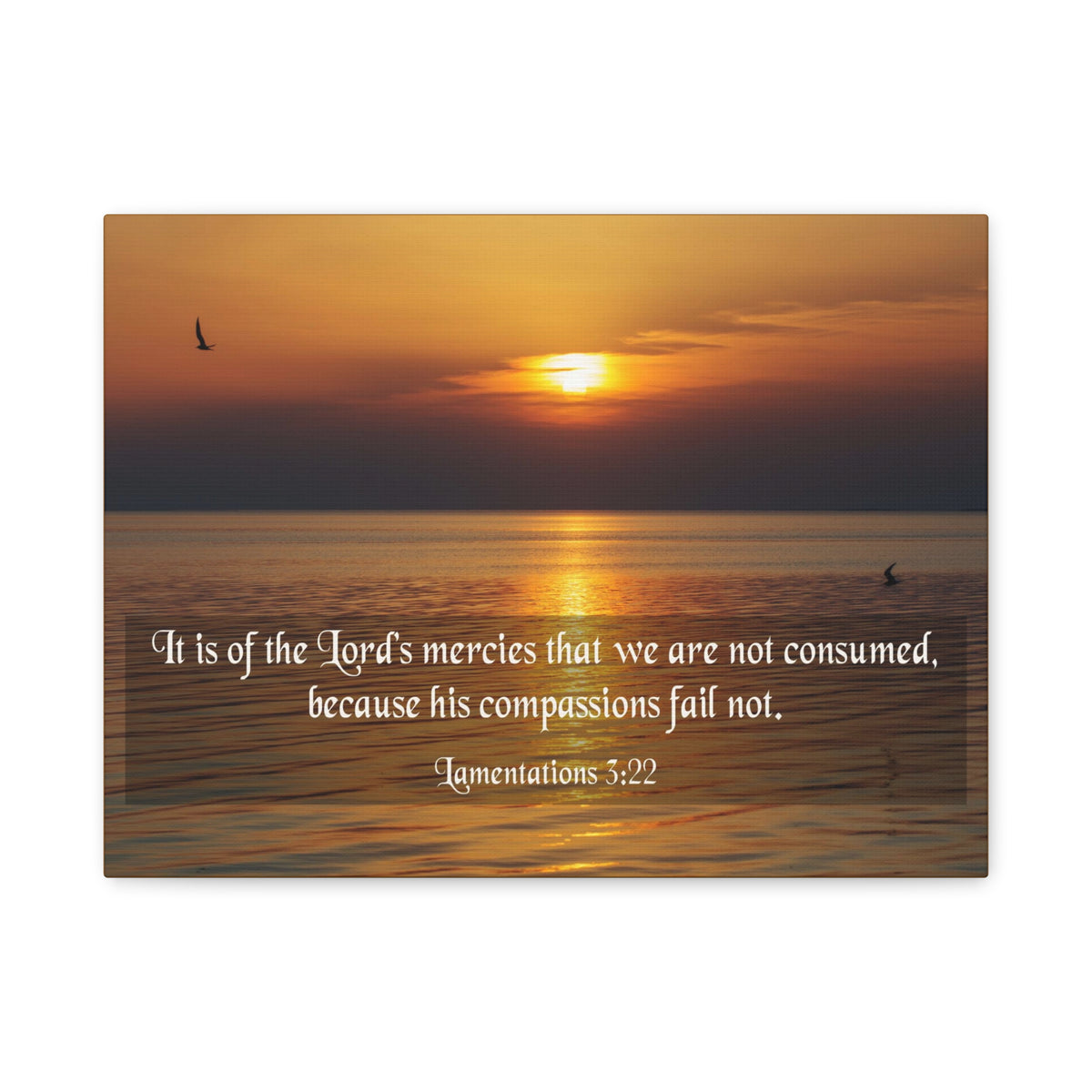 Scripture Canvas Lord's Mercies Lamentations 3:22 Christian Wall Art Bible Verse Print Ready to Hang