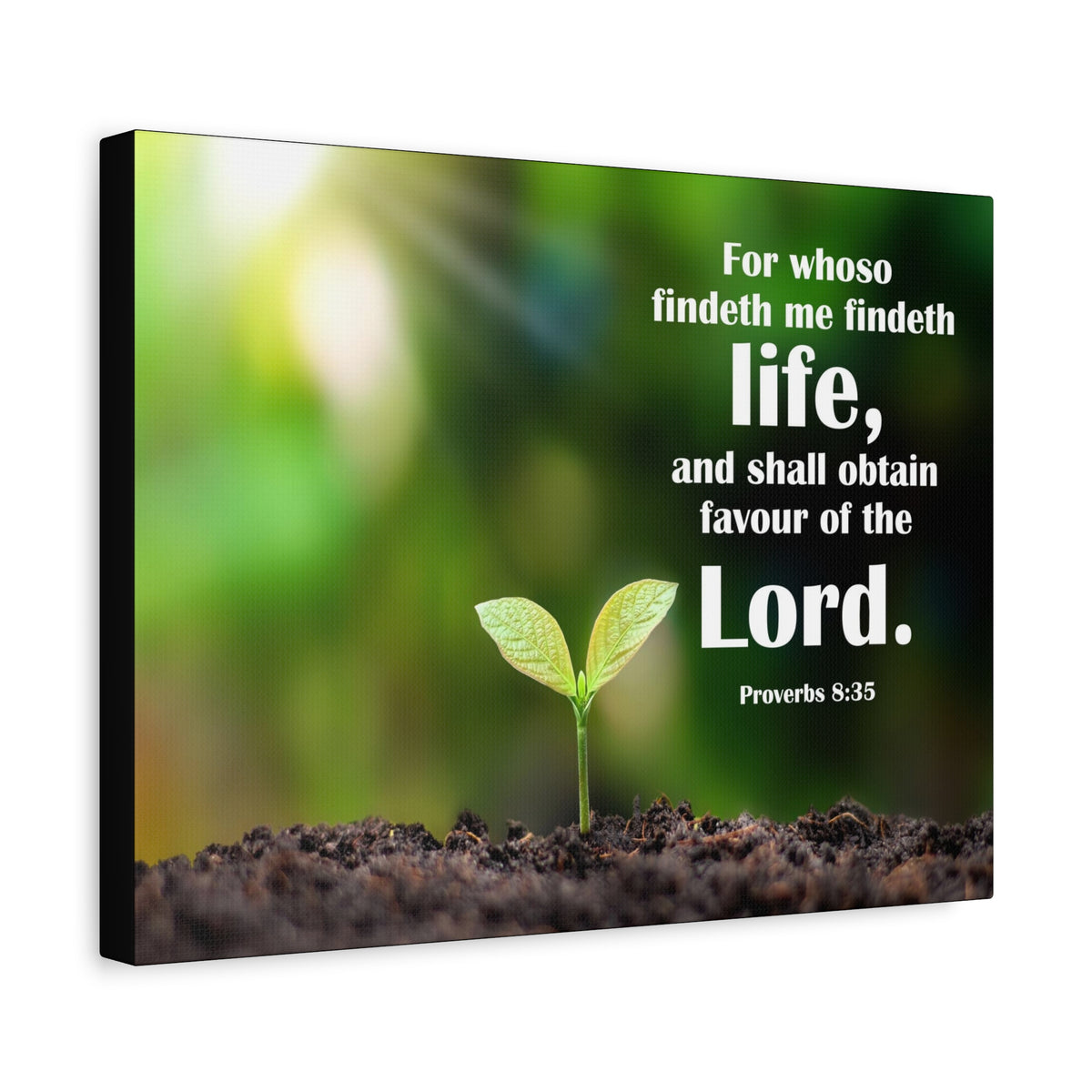Scripture Canvas Favour of The Lord Proverbs 8:35 Christian Wall Art Bible Verse Print Ready to Hang