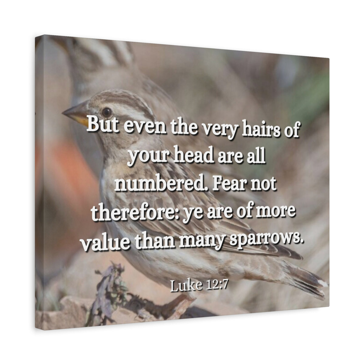 Scripture Canvas Forgotten Luke 12:7 Christian Wall Art Bible Verse Print Ready to Hang