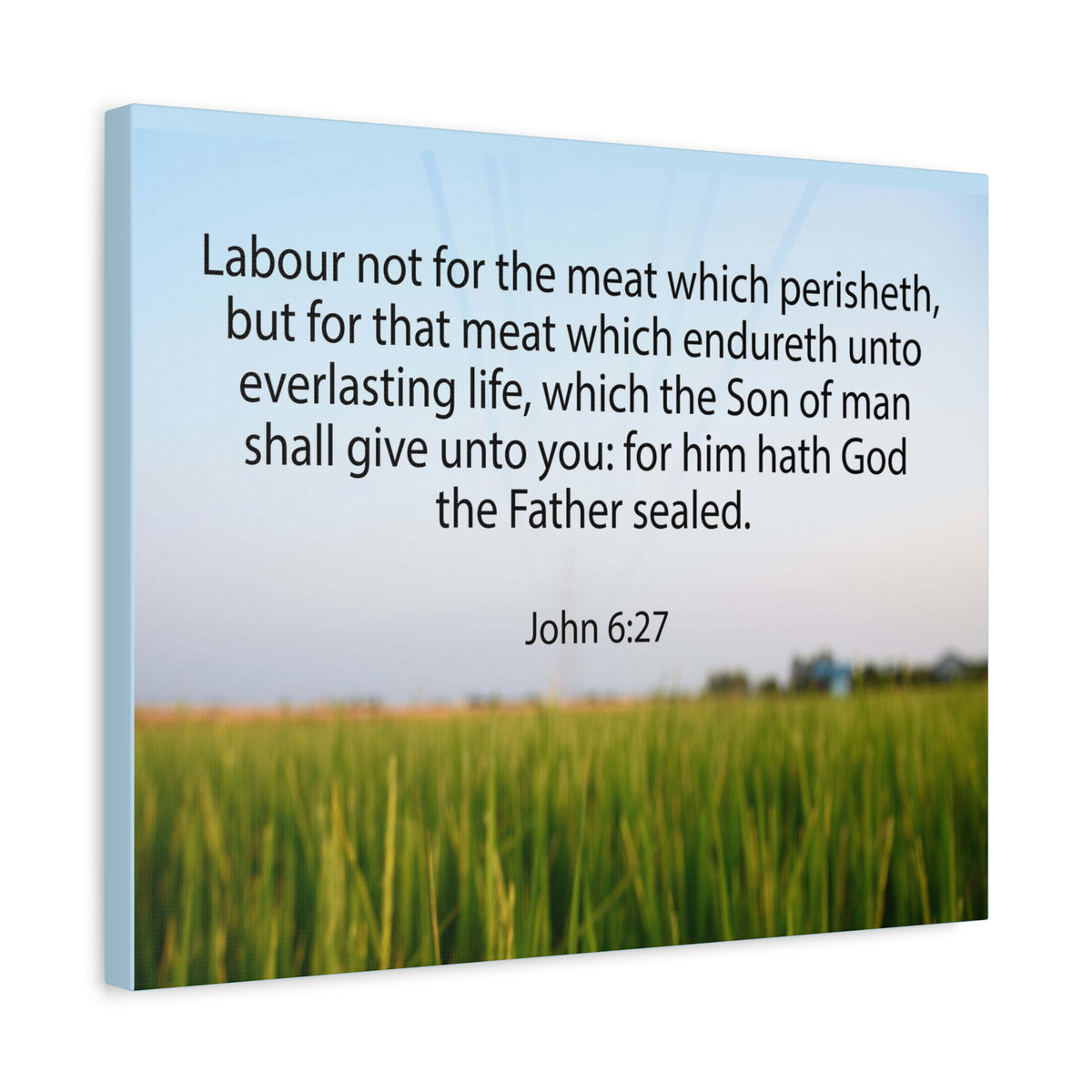 Scripture Canvas Labour Not For The Meat John 6:27 Christian Wall Art Bible Verse Print Ready to Hang