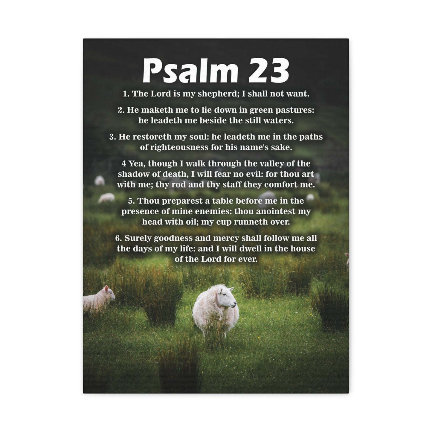 The Lord is My Shepherd Psalm 23:3 Christian Wall Art Bible Verse Print Ready to Hang