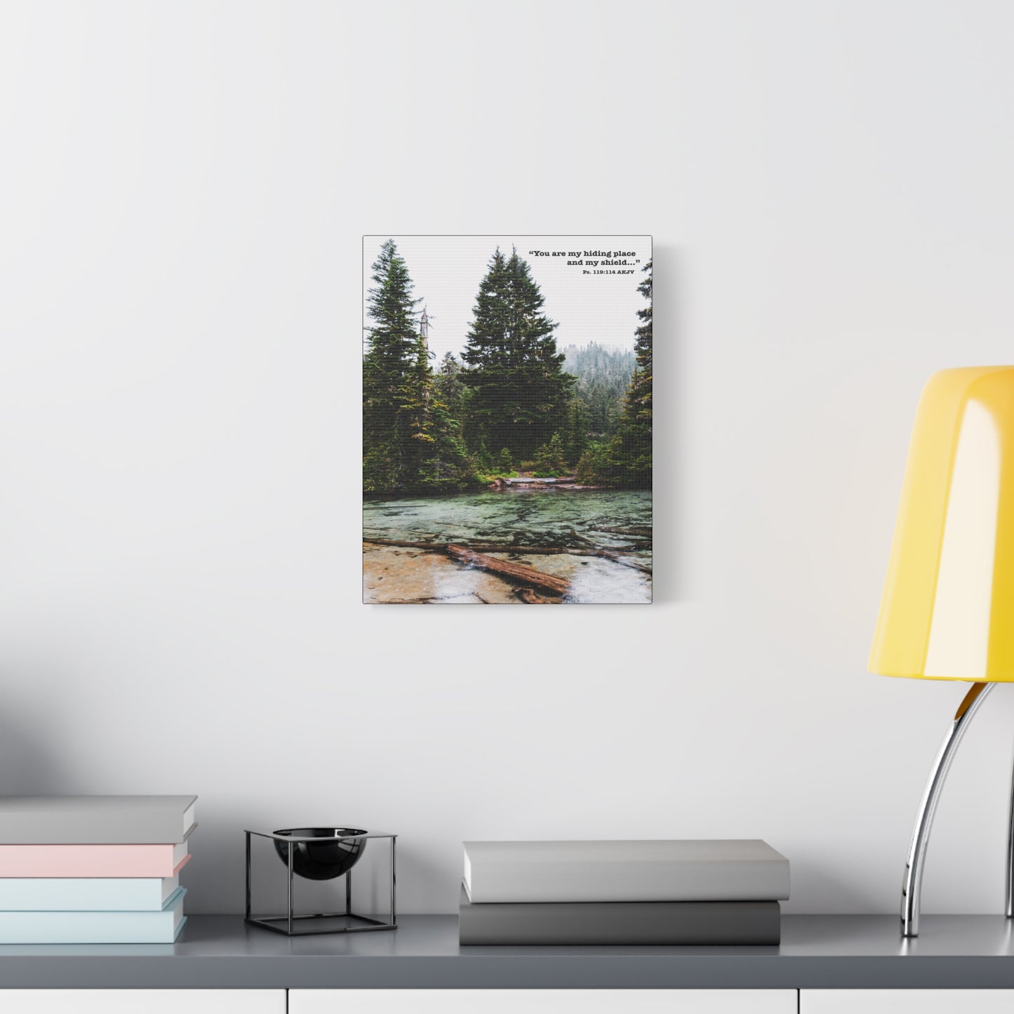 Scripture Walls My Shield Psalms 119:114 Bible Verse Canvas Christian Wall Art Ready to Hang