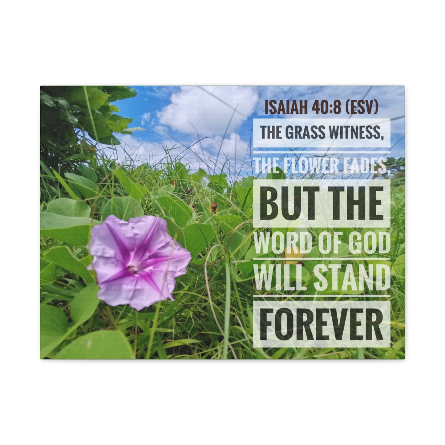 Will Stand Forever Isaiah 40:8 Bible Verse Canvas Christian Wall Art Ready to Hang