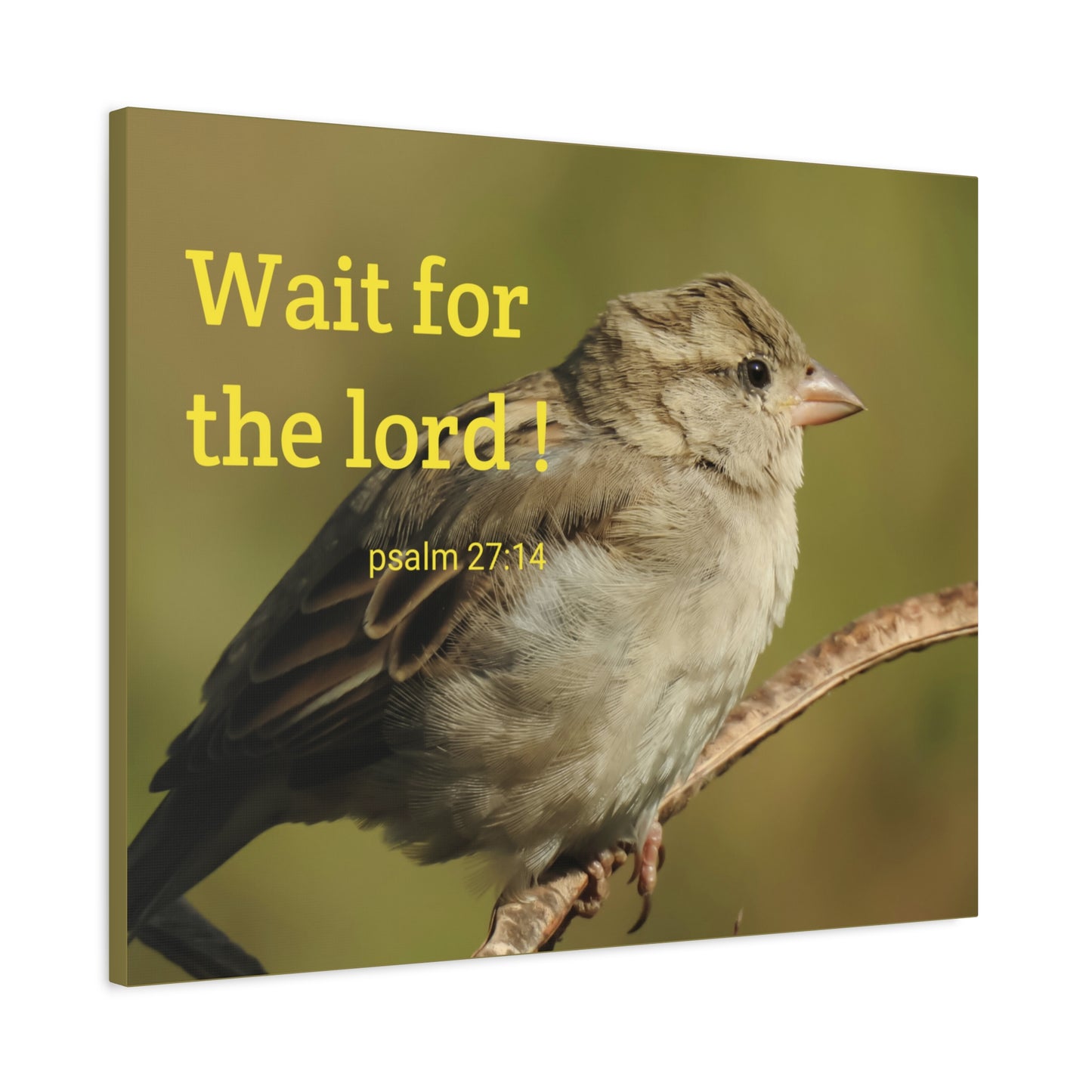 Scripture Walls Wait For The Lord Psalm 27:14 Bible Verse Canvas Christian Wall Art Ready to Hang