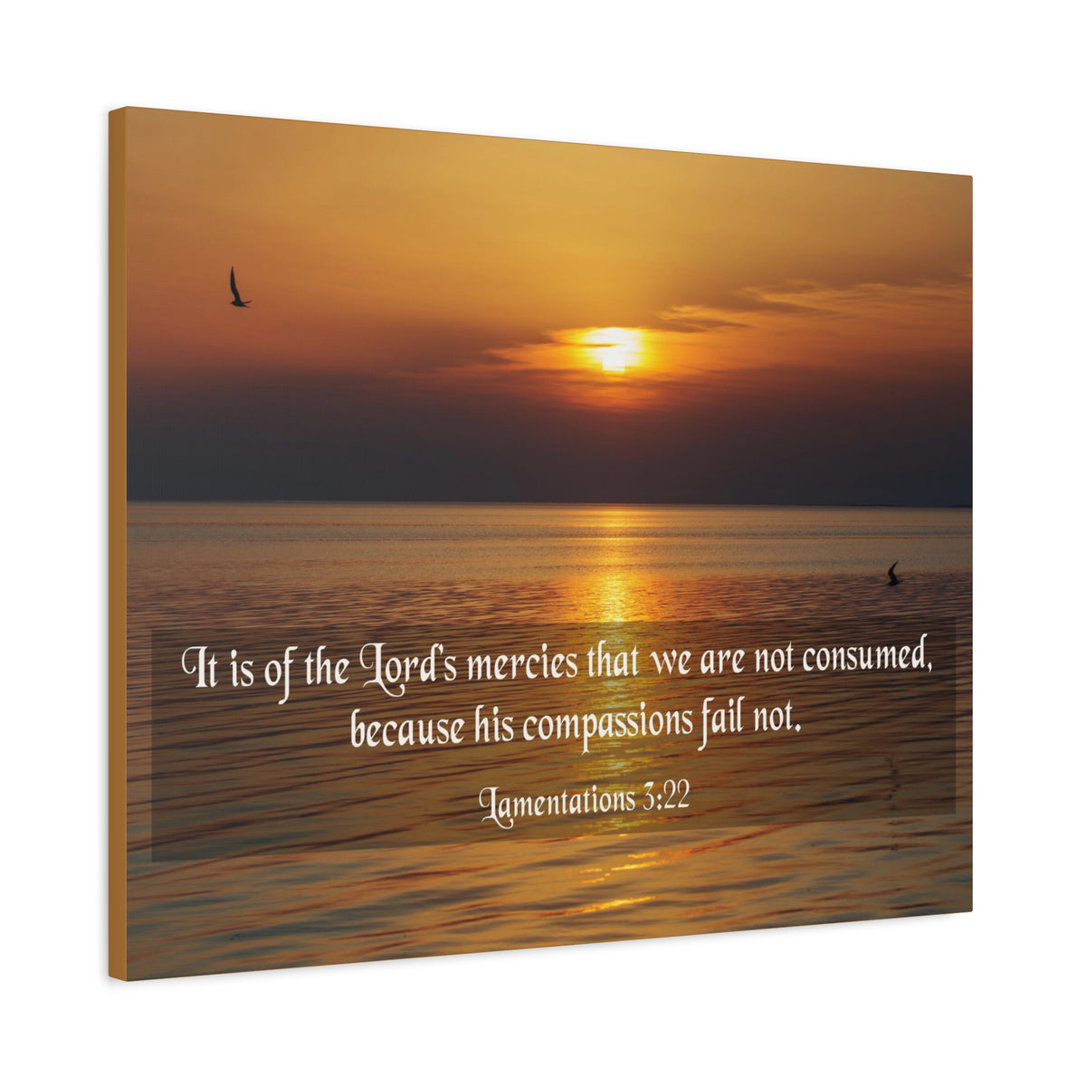 Scripture Canvas Lord's Mercies Lamentations 3:22 Christian Wall Art Bible Verse Print Ready to Hang
