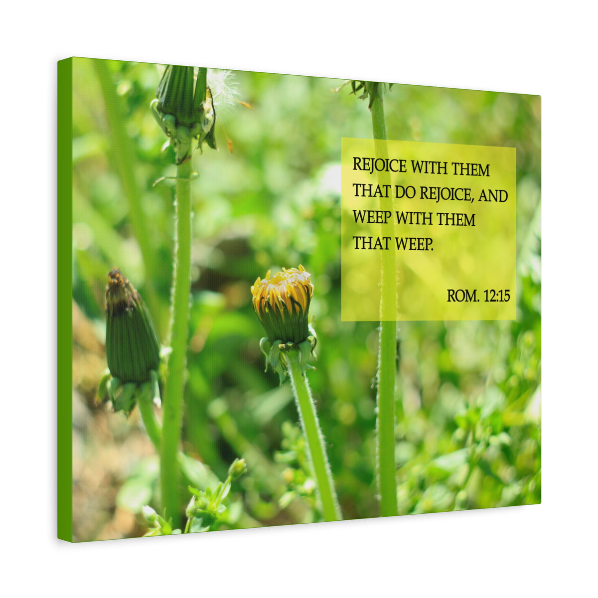 Scripture Canvas Rejoice With Them Rom 12:15 Christian Wall Art Bible Verse Print Ready to Hang