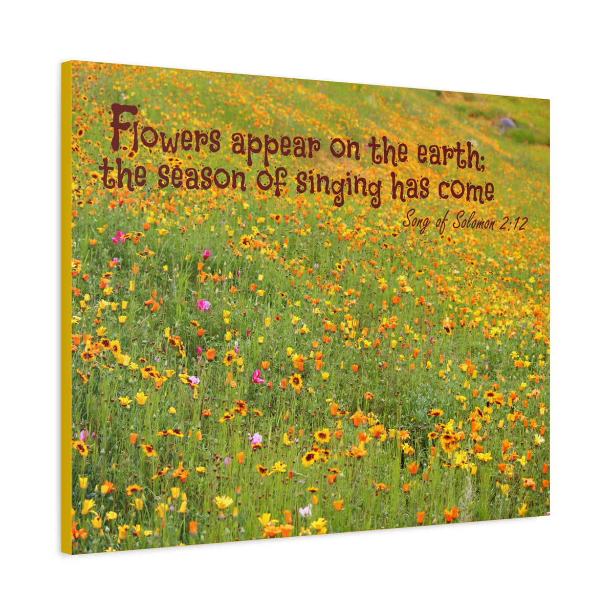 Scripture Canvas Season Of Singing Song Of Solomon 2:12 Christian Wall Art Bible Verse Print Ready to Hang