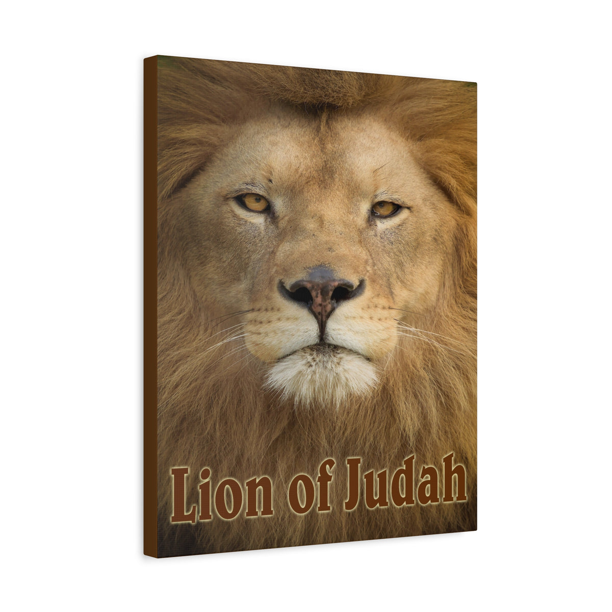 Scripture Canvas Lion of Judah Christian Wall Art Bible Verse Print Ready to Hang