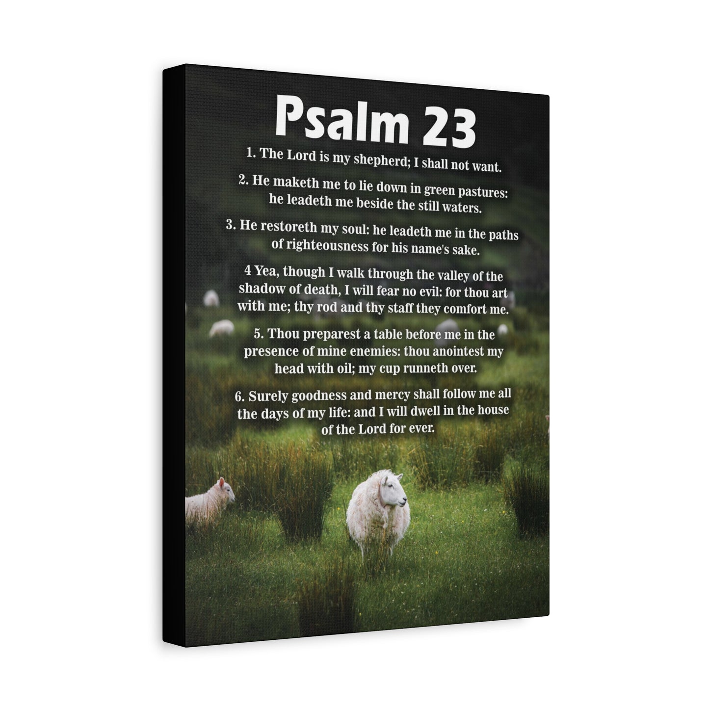 Scripture Walls The Lord is My Shepherd Psalm 23:3 Christian Wall Art Bible Verse Print Ready to Hang