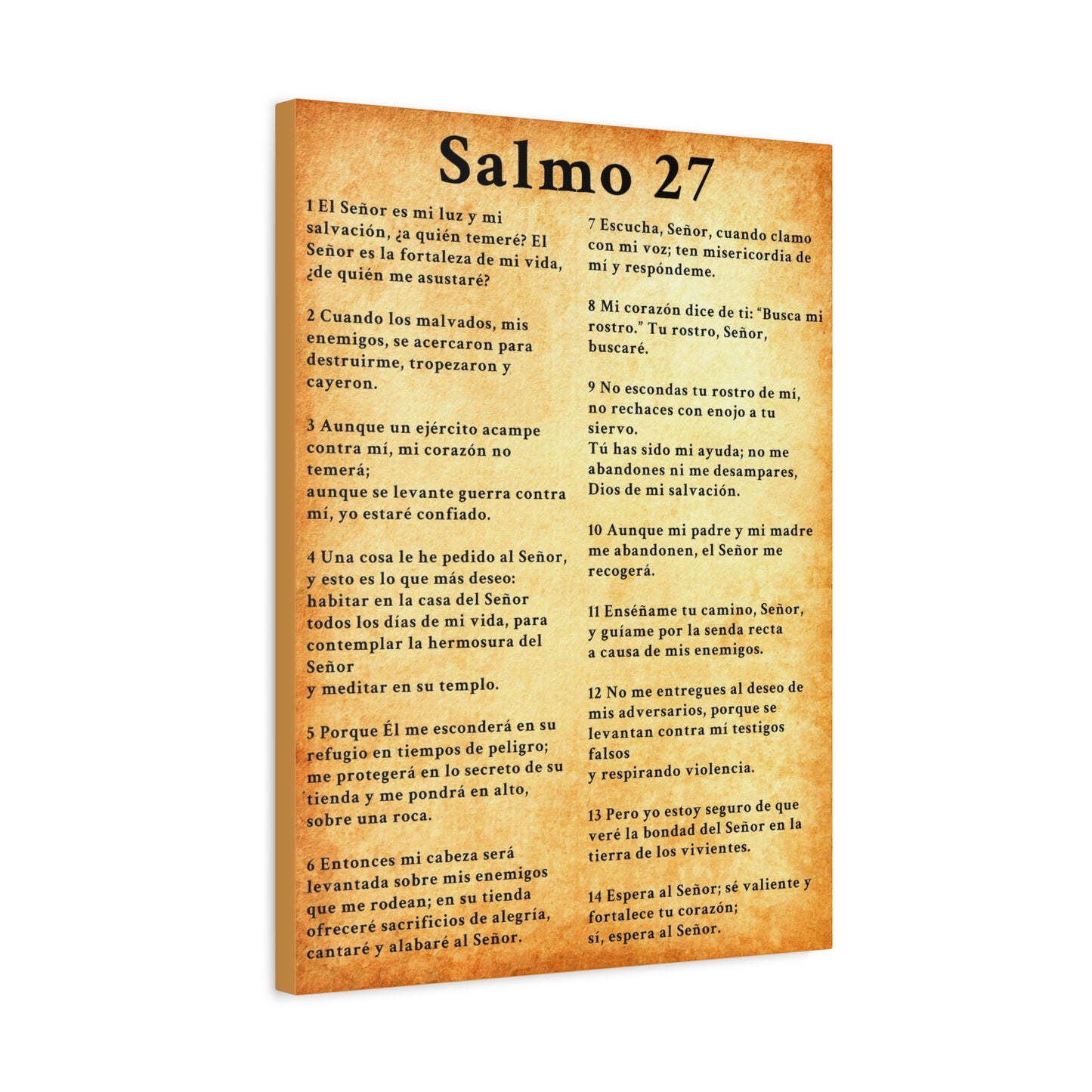 Scripture Walls Salmo 27 Chapter Gold Christian Wall Art Print Ready to Hang Unframed