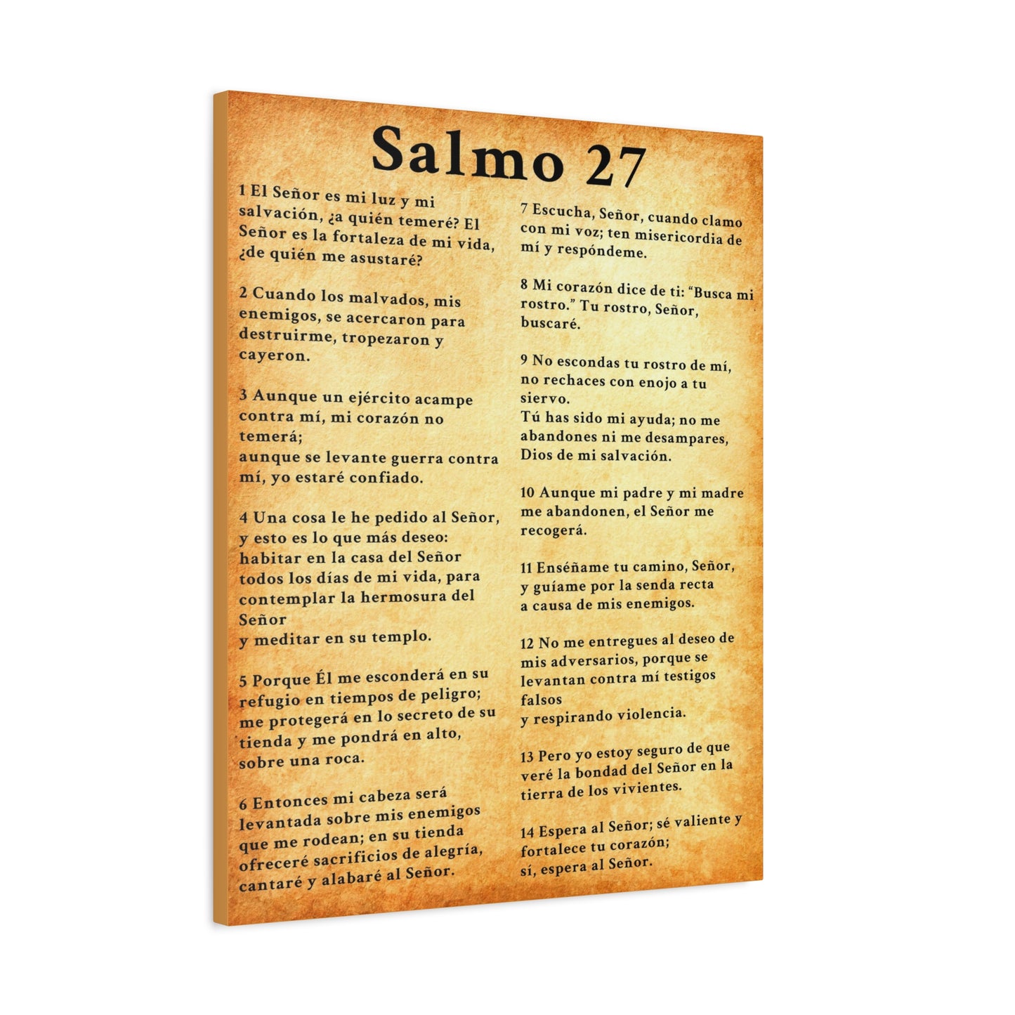 Scripture Walls Salmo 27 Chapter Gold Christian Wall Art Print Ready to Hang Unframed