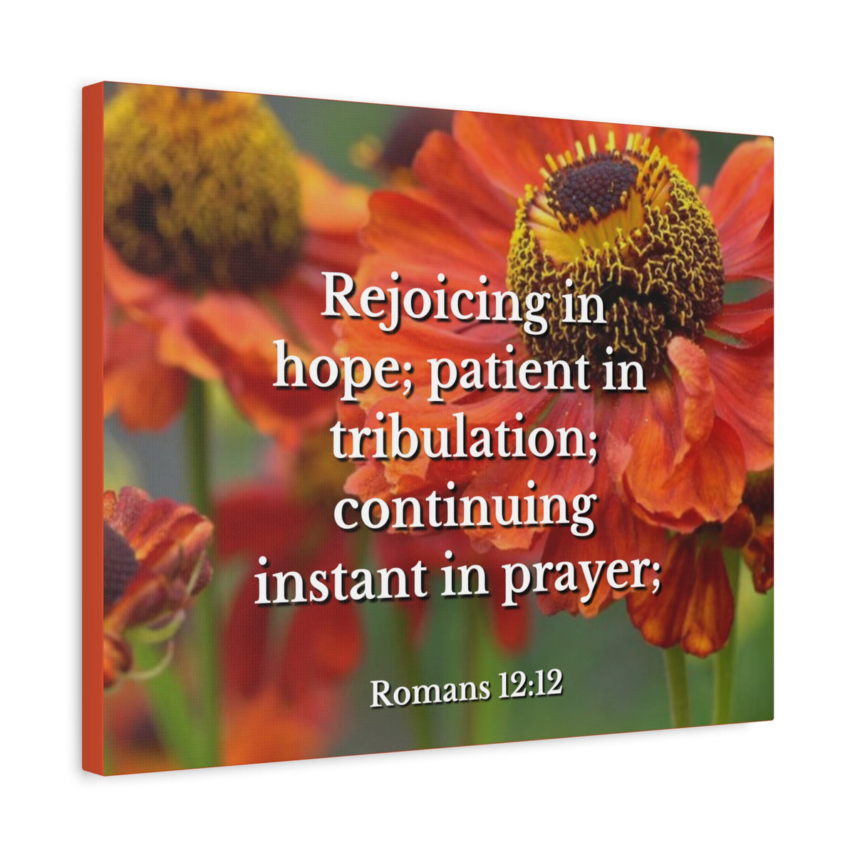 Scripture Canvas Rejoicing In Hope Romans 12:12 Christian Wall Art Bible Verse Print Ready to Hang