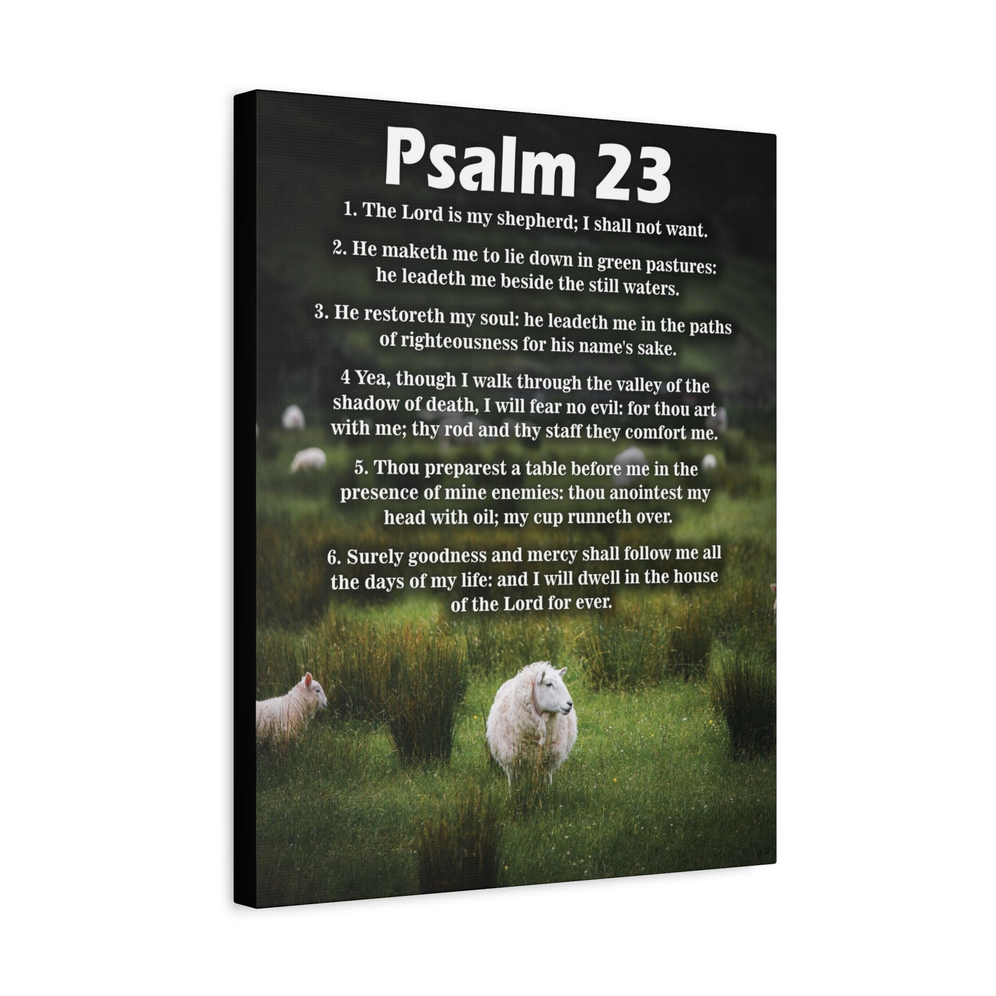 Scripture Walls The Lord is My Shepherd Psalm 23:3 Christian Wall Art Bible Verse Print Ready to Hang