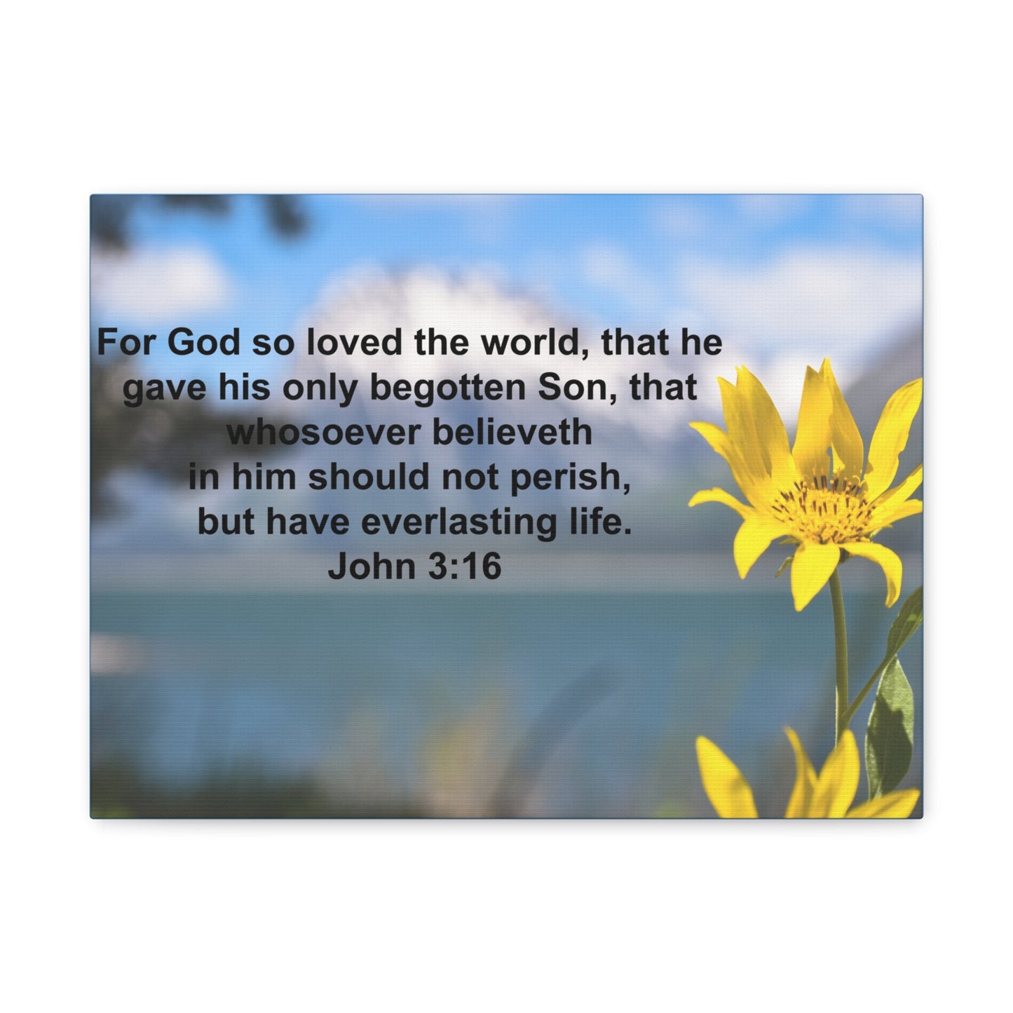 Have Everlasting Life John 3:16 Bible Verse Canvas Christian Wall Art Ready to Hang