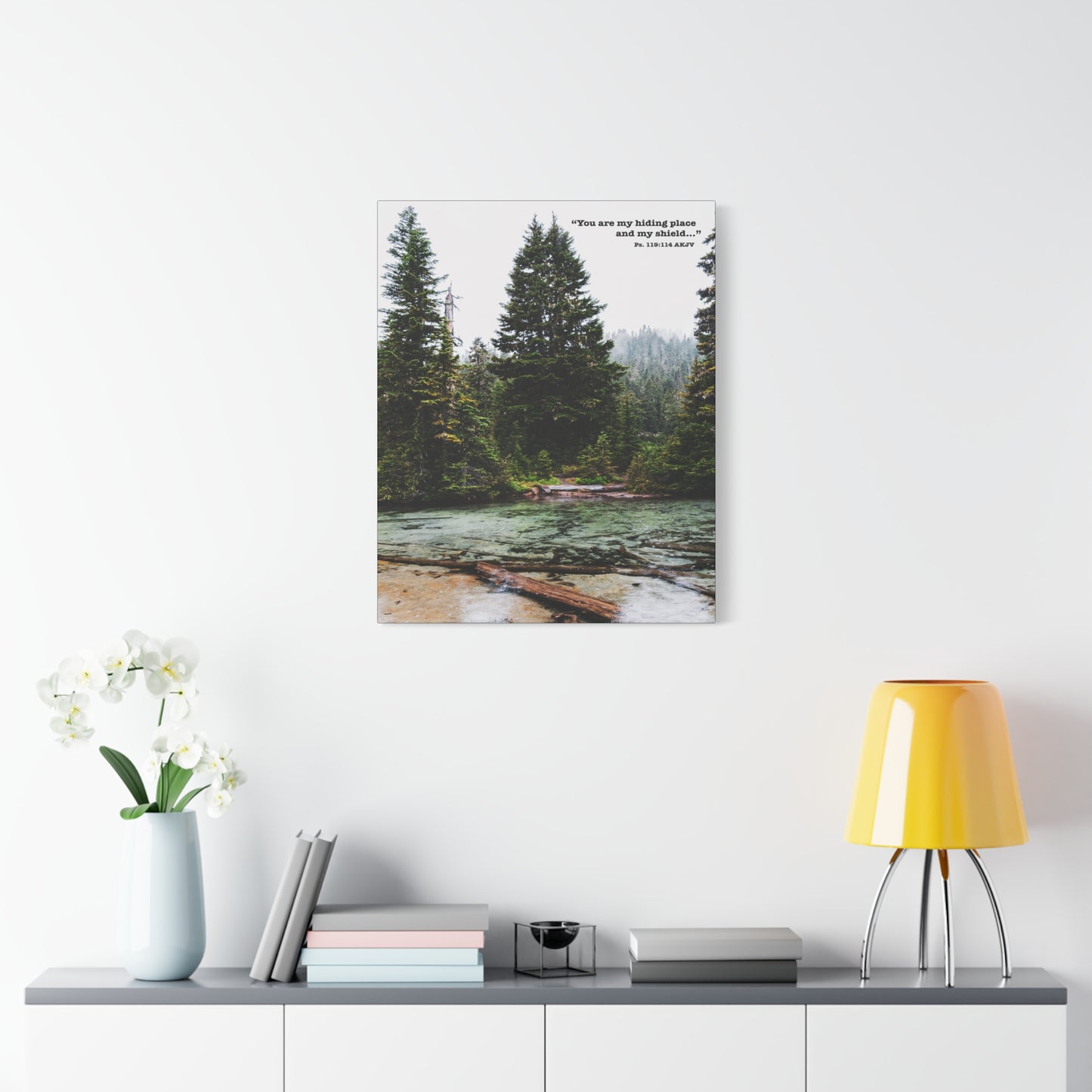 Scripture Walls My Shield Psalms 119:114 Bible Verse Canvas Christian Wall Art Ready to Hang