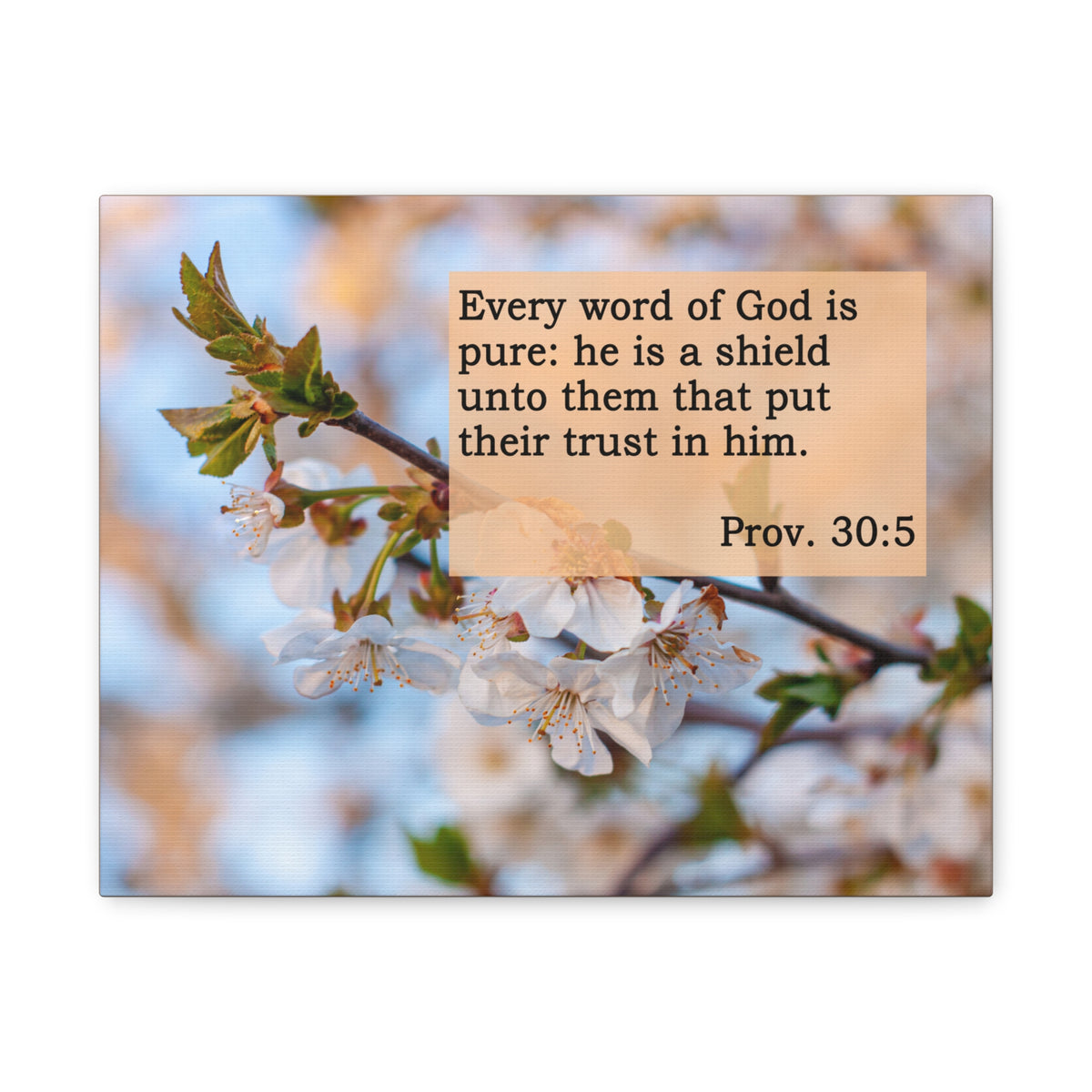 Scripture Canvas He Is A Shield Proverbs 30:5 Christian Wall Art Bible Verse Print Ready to Hang