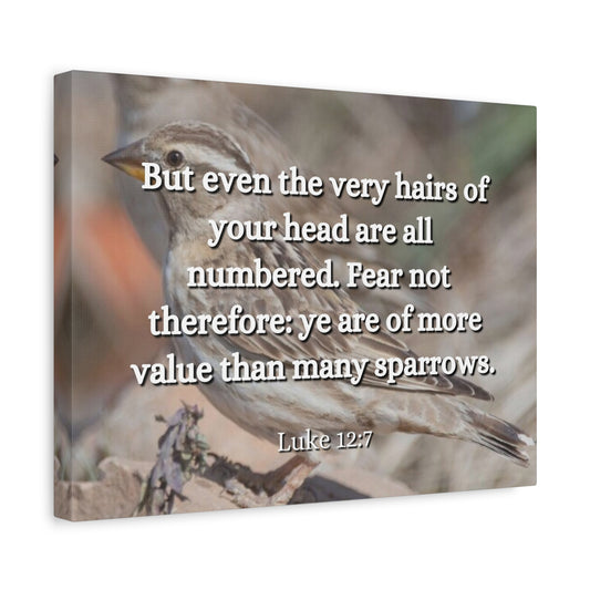 Scripture Canvas Forgotten Luke 12:7 Christian Wall Art Bible Verse Print Ready to Hang