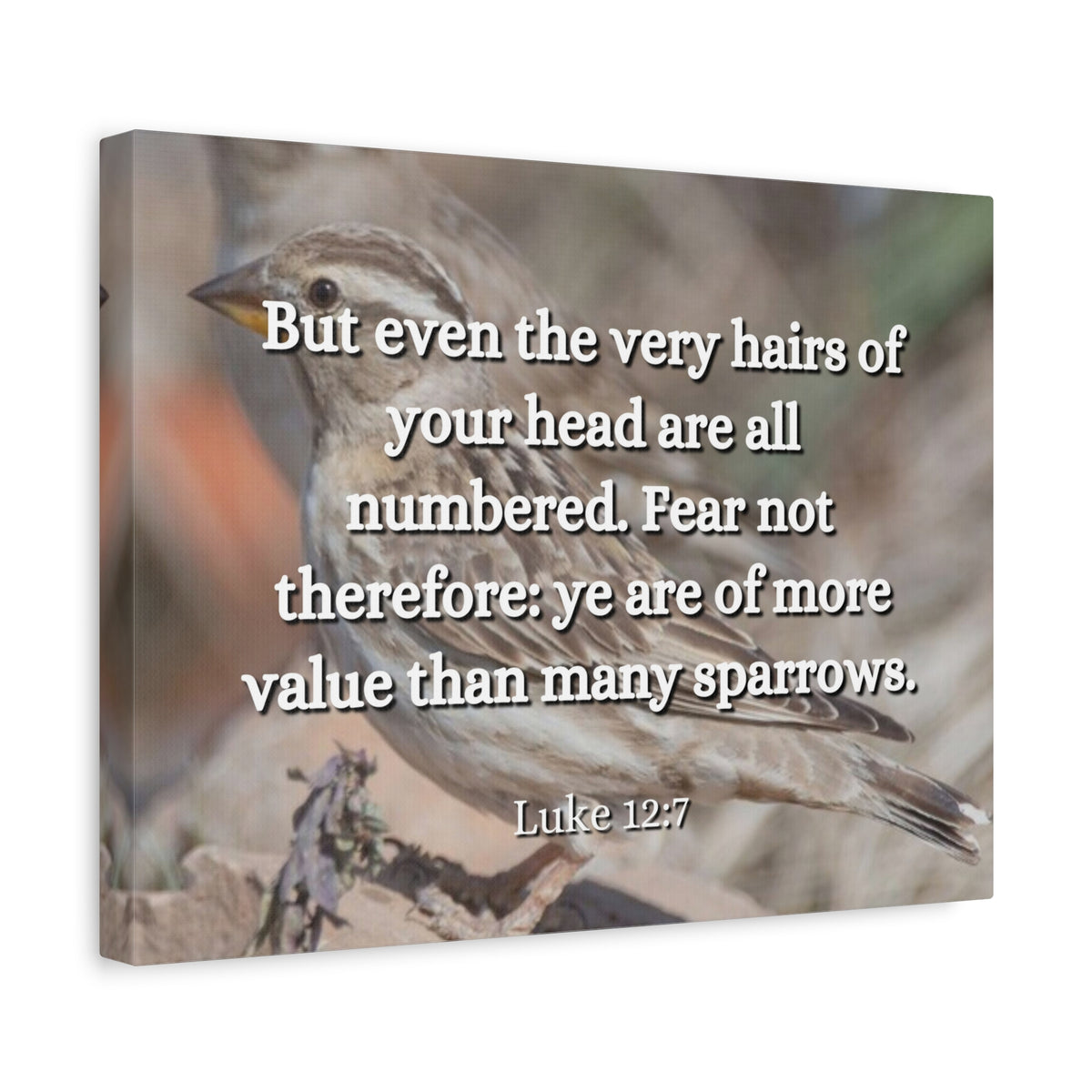 Scripture Canvas Forgotten Luke 12:7 Christian Wall Art Bible Verse Print Ready to Hang
