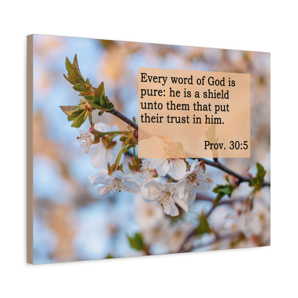 Scripture Canvas He Is A Shield Proverbs 30:5 Christian Wall Art Bible Verse Print Ready to Hang