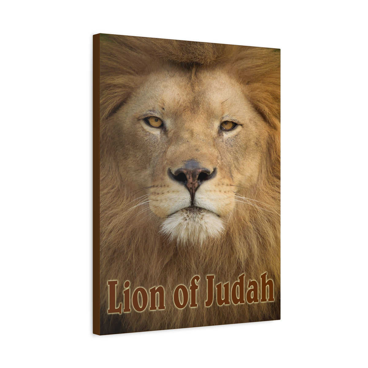 Scripture Canvas Lion of Judah Christian Wall Art Bible Verse Print Ready to Hang