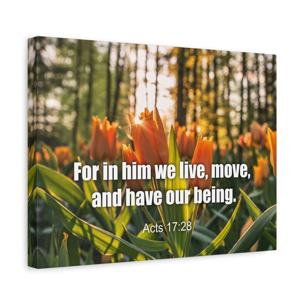 Scripture Canvas Our Being Acts 17:28 Christian Wall Art Bible Verse Print Ready to Hang